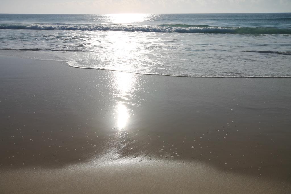 Chill-Out Beachside - Main Beach Forster Room photo